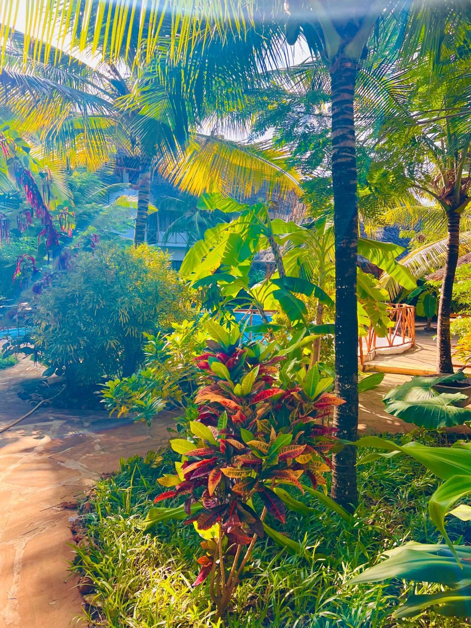 Tropical Nungwi Hotel ภายนอก รูปภาพ