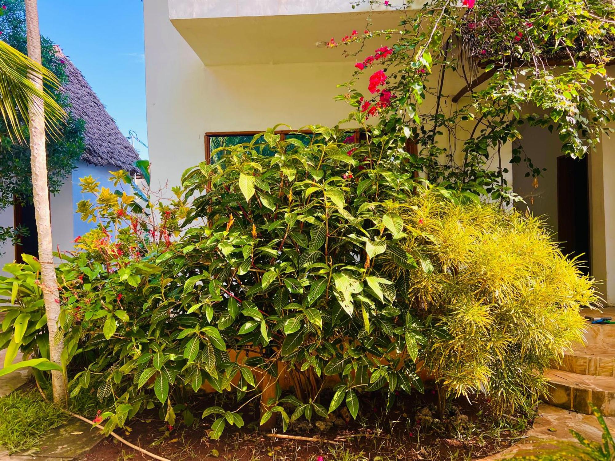 Tropical Nungwi Hotel ภายนอก รูปภาพ