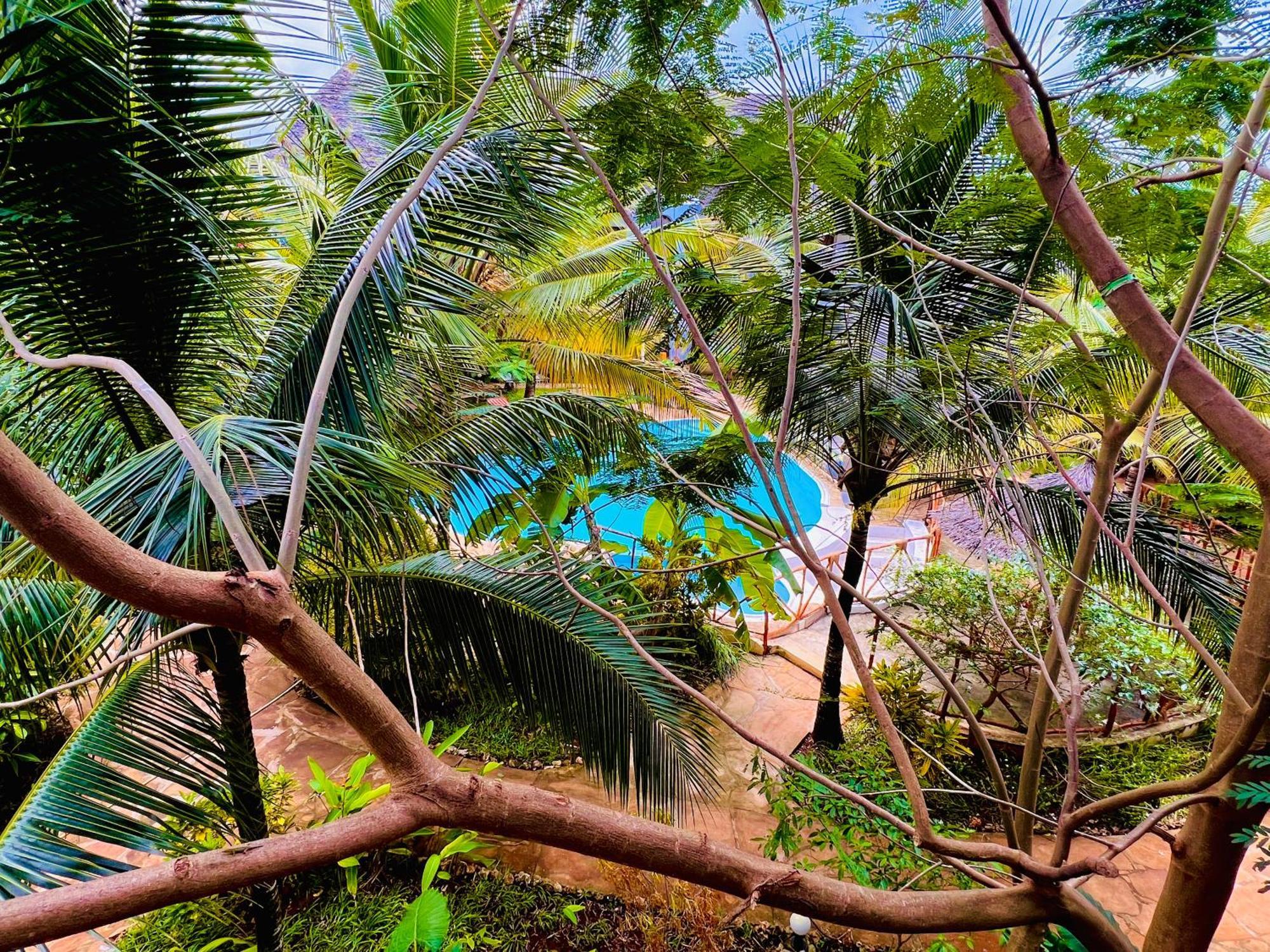 Tropical Nungwi Hotel ภายนอก รูปภาพ