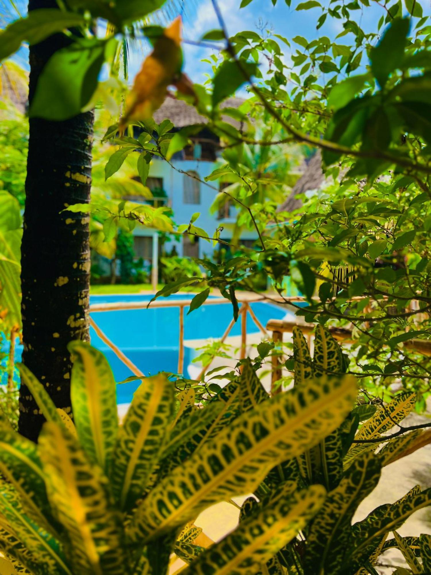 Tropical Nungwi Hotel ภายนอก รูปภาพ