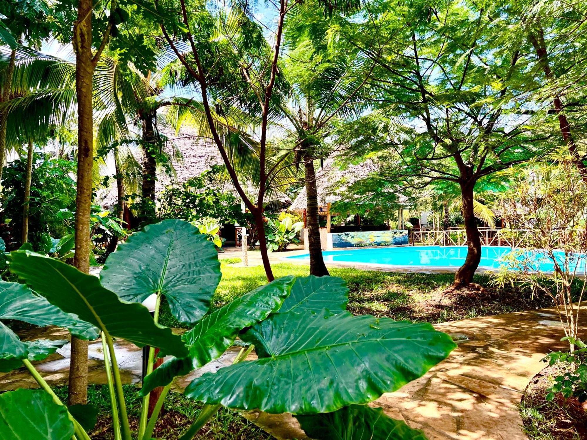 Tropical Nungwi Hotel ภายนอก รูปภาพ